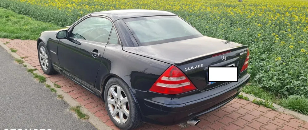 mercedes benz zawiercie Mercedes-Benz SLK cena 12500 przebieg: 270610, rok produkcji 2001 z Zawiercie